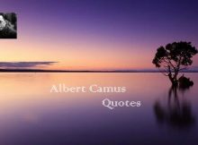 Albert Camus Quotes