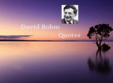 David Bohm Quotes