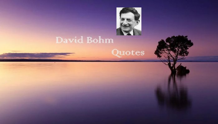  David Bohm Quotes
