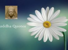 Buddha Quotes