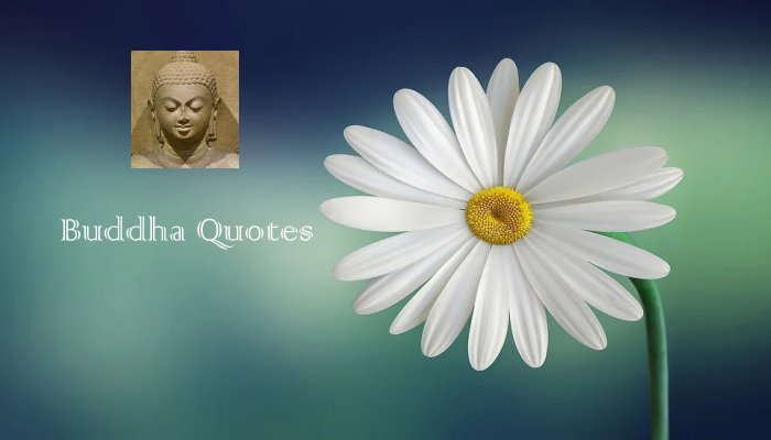 Buddha Quotes