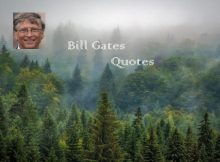 Bill Gates Quotes