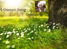 Carl Gustav Jung Quotes