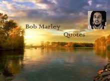 Bob Marley Quotes