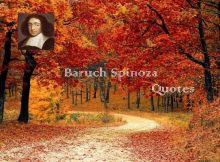 Baruch Spinoza Quotes