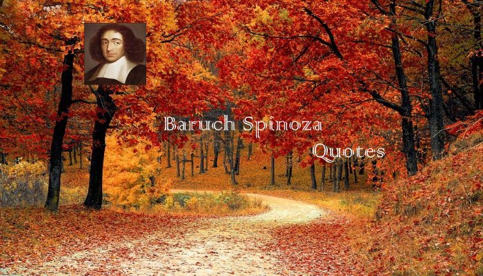 Baruch Spinoza Quotes