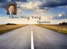 Chen Ning Yang Quotes