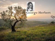 George Herbert Quotes