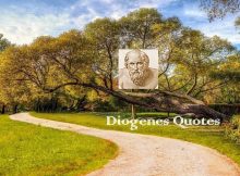 Diogenes Quotes