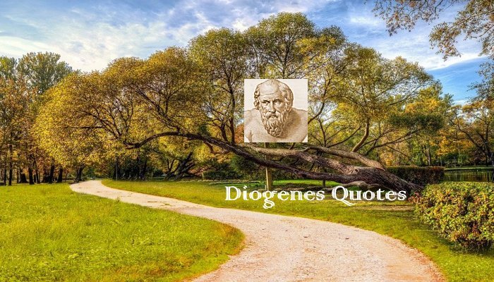 Diogenes Quotes