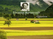 Eleanor Roosevelt Quotes