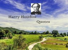 Harry Houdini Quotes