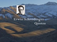 Erwin Schrodinger Quotes