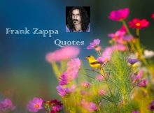 Frank Zappa Quotes