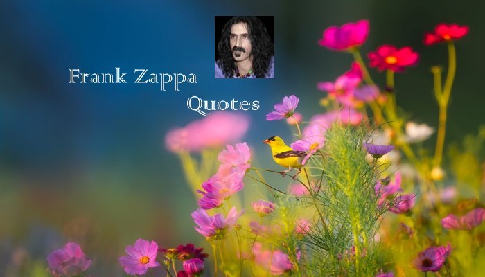 Frank Zappa Quotes