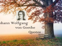 Johann Wolfgang von Goethe Quotes