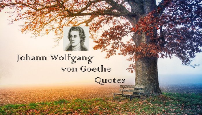 Johann Wolfgang von Goethe Quotes