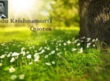 Jiddu Krishnamurti Quotes