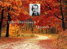 John Steinbeck Quotes