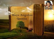 Maya Angelou Quotes