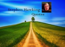 Stephen Hawking Quotes