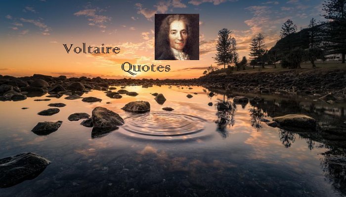 Voltaire Quotes